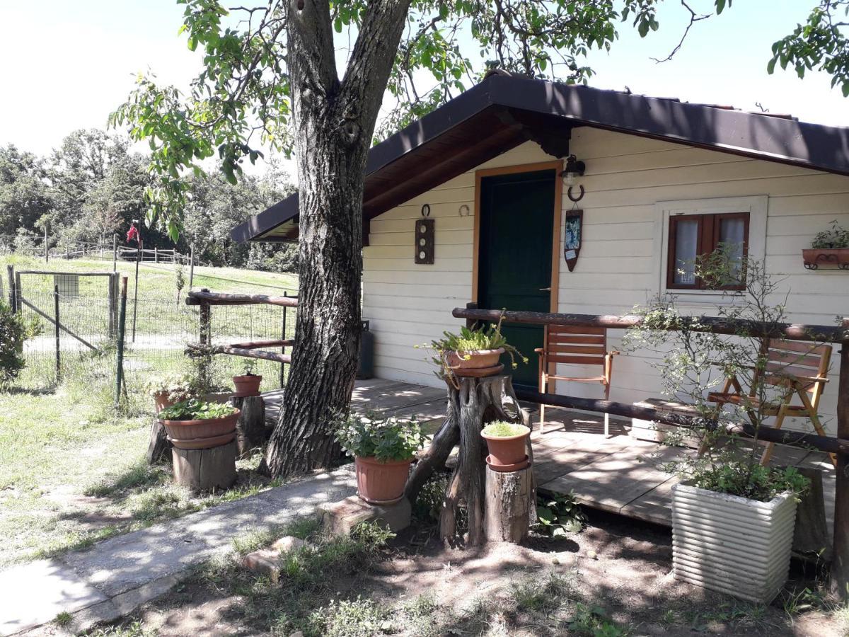 피아노로 Il Casalino B&B 외부 사진